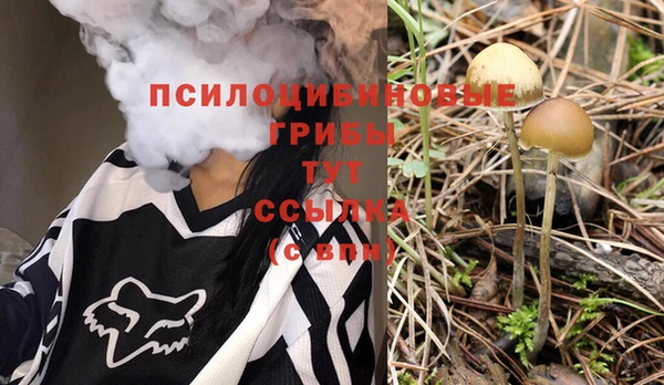 ECSTASY Зеленокумск