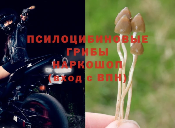 ALPHA-PVP Зерноград