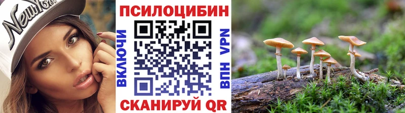 мега как зайти Нефтекамск Псилоцибиновые грибы Psilocybine cubensis